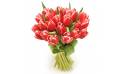 L'Agitateur Floral | image du Bouquet de tulipes rouges Perle Douce