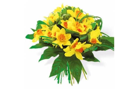 L'Agitateur Floral | image du Bouquet de Jonquilles Délice Printanier