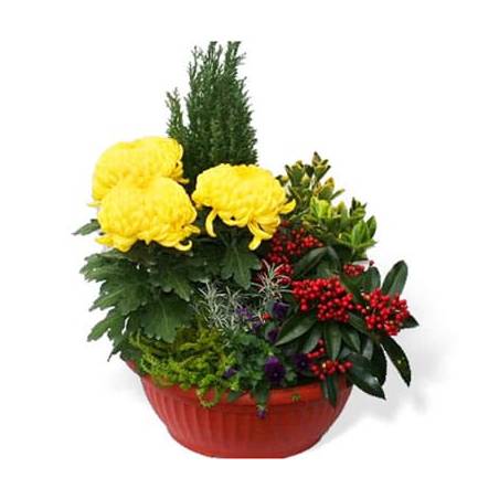 L'Agitateur Floral | image de la Coupe de plantes Jaune et Rouge pour cimetière