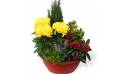 L'Agitateur Floral | image de la Coupe de plantes Jaune et Rouge pour cimetière