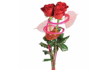 L'Agitateur Floral | Image du bouquet de trois roses rouges Ma Princesse