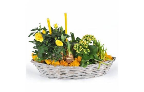 L'Agitateur Floral | image de la composition de plante dans les tons jaunes Etamine la fleuriste