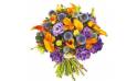 L'Agitateur Floral | image du bouquet de fleurs mauve et orange Luberon