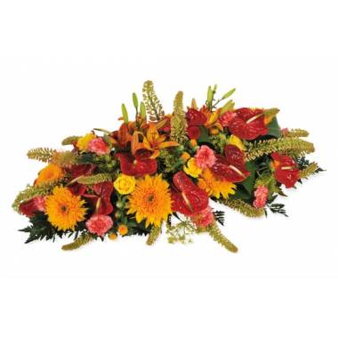 Image de fleur Raquette rouge & orange L'Eclipse