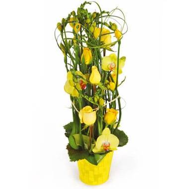 L'Agitateur Floral | image de la composition de fleurs dans les tons jaunes Bora-Bora