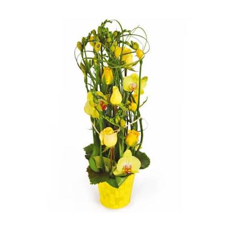 L'Agitateur Floral | image de la composition de fleurs dans les tons jaunes Bora-Bora