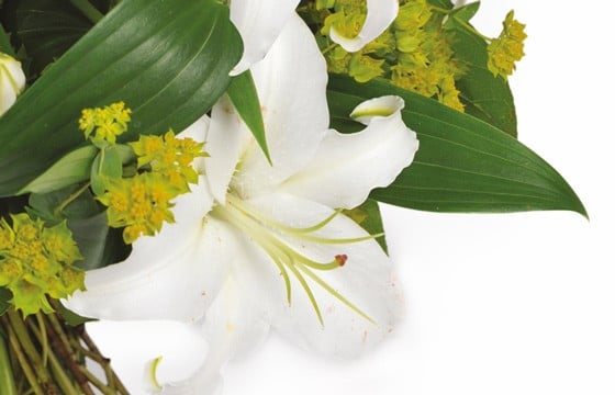 L'Agitateur Floral | zoom sur un lys blanc de la création florale