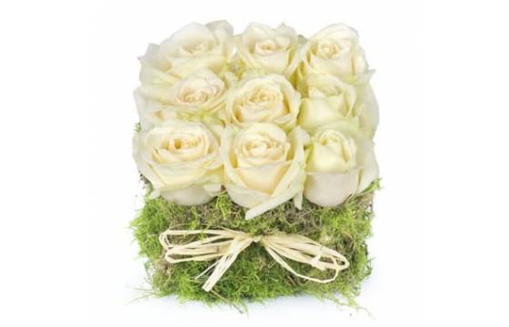 L'Agitateur Floral | image du carré de roses blanches déclaration