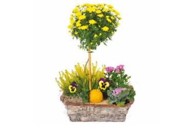 L'Agitateur Floral | image de la Composition de deuil jaunes & mauve L'Oasis