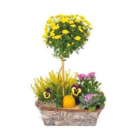 L'Agitateur Floral | image de la Composition de deuil jaunes & mauve L'Oasis
