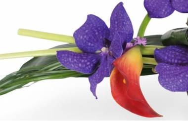 image des orchidée vanda mauve