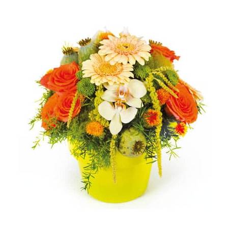 L'Agitateur Floral | image de la composition de fleurs Mignon