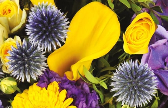 Bouquet de fleurs jaune & mauve | Livraison express par un fleuriste -  L'agitateur floral