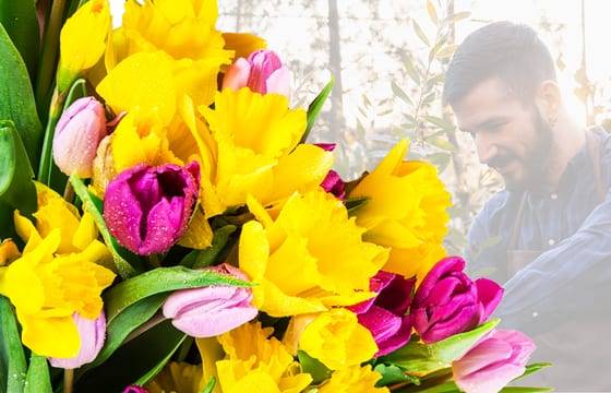L'Agitateur Floral | Image du Bouquet Surprise de Jonquilles et de Tulipes Colorées