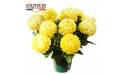 L'Agitateur Floral | Image principale Chrysanthème boule jaune