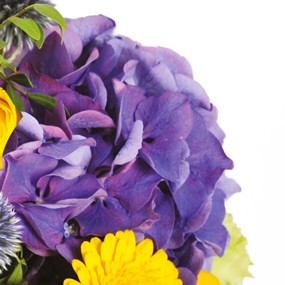 Bouquet de fleurs jaune & mauve | Livraison express par un fleuriste -  L'agitateur floral