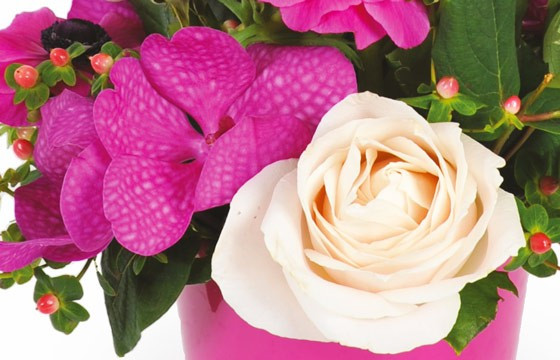 vue sur une orchidée et une rose blanche de la création florale
