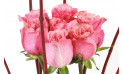 vue sur les roses rose de la composition florale