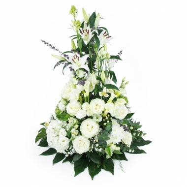 Image de fleur Composition hauteur de fleurs blanches Zéphyr