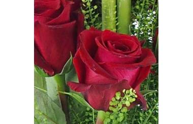 zoom sur une rose du Bouquet long de roses rouges "Saragosse" | L'Agitateur Floral