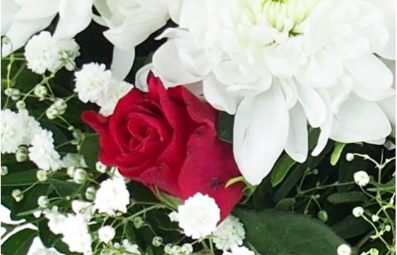 Image zoom Bouquet rond blanc & rouge "Carthagène" | L'Agitateur Floral