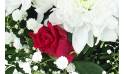 Image zoom Bouquet rond blanc & rouge "Carthagène" | L'Agitateur Floral