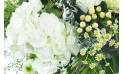 Image zoom Grand bouquet de fleurs blanc & vert "Braga" | L'Agitateur Floral