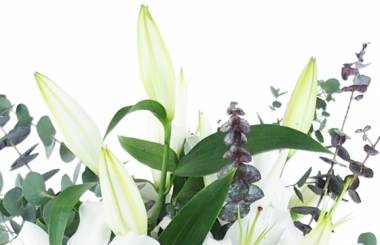 Image zoom Bouquet champêtre de lys blanc "Herne" | L'Agitateur Floral
