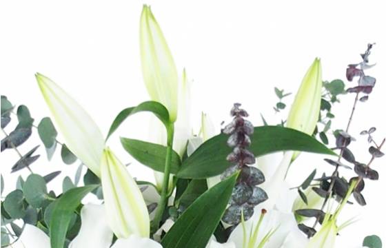 Image zoom Bouquet champêtre de lys blanc "Herne" | L'Agitateur Floral