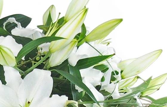 Image zoom Bouquet de lys blanc "Alicante" | L'Agitateur Floral