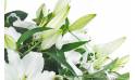 Image zoom Bouquet de lys blanc "Alicante" | L'Agitateur Floral