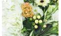 Image zoom Bouquet rond pastel & champêtre "Monza" | L'Agitateur Floral