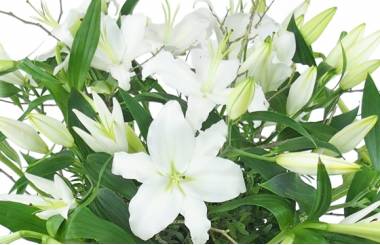 Image zoom Grand bouquet de lys blanc "Syracuse" | L'Agitateur Floral