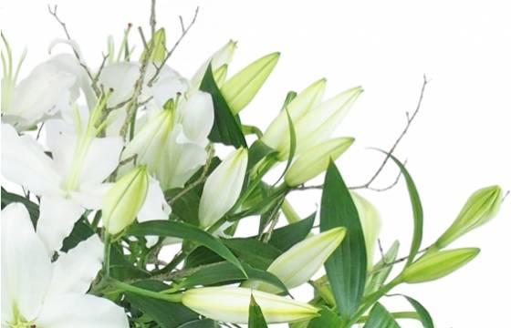 Image zoom Grand bouquet de lys blanc "Syracuse" | L'Agitateur Floral