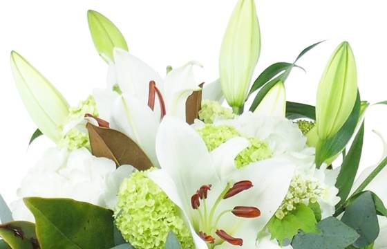 Image zoom Bouquet de fleurs blanches "Bruges" | L'Agitateur Floral
