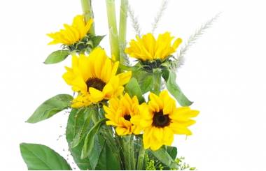 Image Bouquet zoom contemporain de tournesols "Valensole" | L'Agitateur Floral