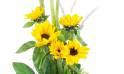 Image Bouquet zoom contemporain de tournesols "Valensole" | L'Agitateur Floral