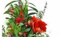 image de la Gerbe de fleurs à la main "Ovide" |  L'Agitateur Floral