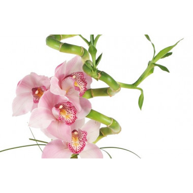 image des orchidées roses de la composition florale