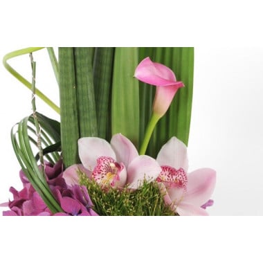 image des orchidées et du calla de la composition Exubérance Florale