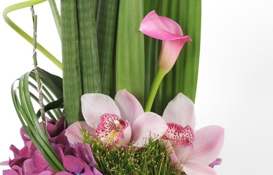image des orchidées et du calla de la composition Exubérance Florale