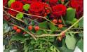image du Coussin de roses rouges "Éros" | L'Agitateur Floral