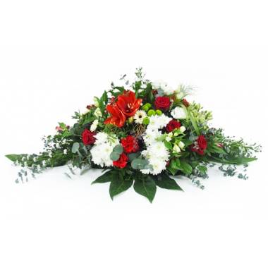 Image de fleur Raquette rouge & blanche Delphes