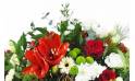 image de la Raquette rouge & blanche "Delphes" | L'Agitateur Floral