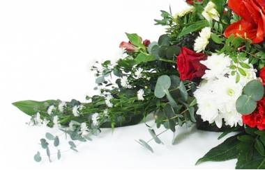 image de la Raquette rouge & blanche "Delphes" | L'Agitateur Floral