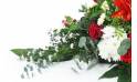 image de la Raquette rouge & blanche "Delphes" | L'Agitateur Floral
