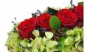 image du Chemin de roses rouges "Antiope" | L'Agitateur Floral
