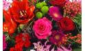 image de la Raquette de deuil rouges, fuchsias & roses "Korinthos" |  L'Agitateur Floral