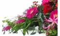 image de la Raquette de deuil rouges, fuchsias & roses "Korinthos" |  L'Agitateur Floral