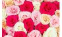 Image Cœur de fleurs piquées de deuil "Agora" | L'Agitateur Floral
